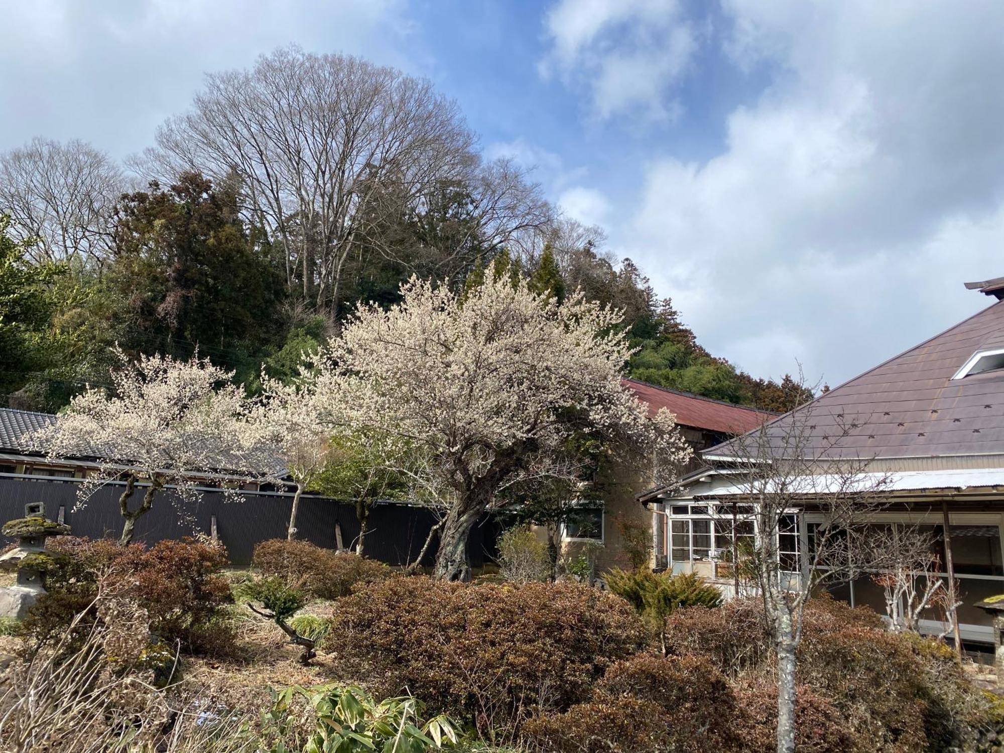 Country house Takeyashiki たけやしき *